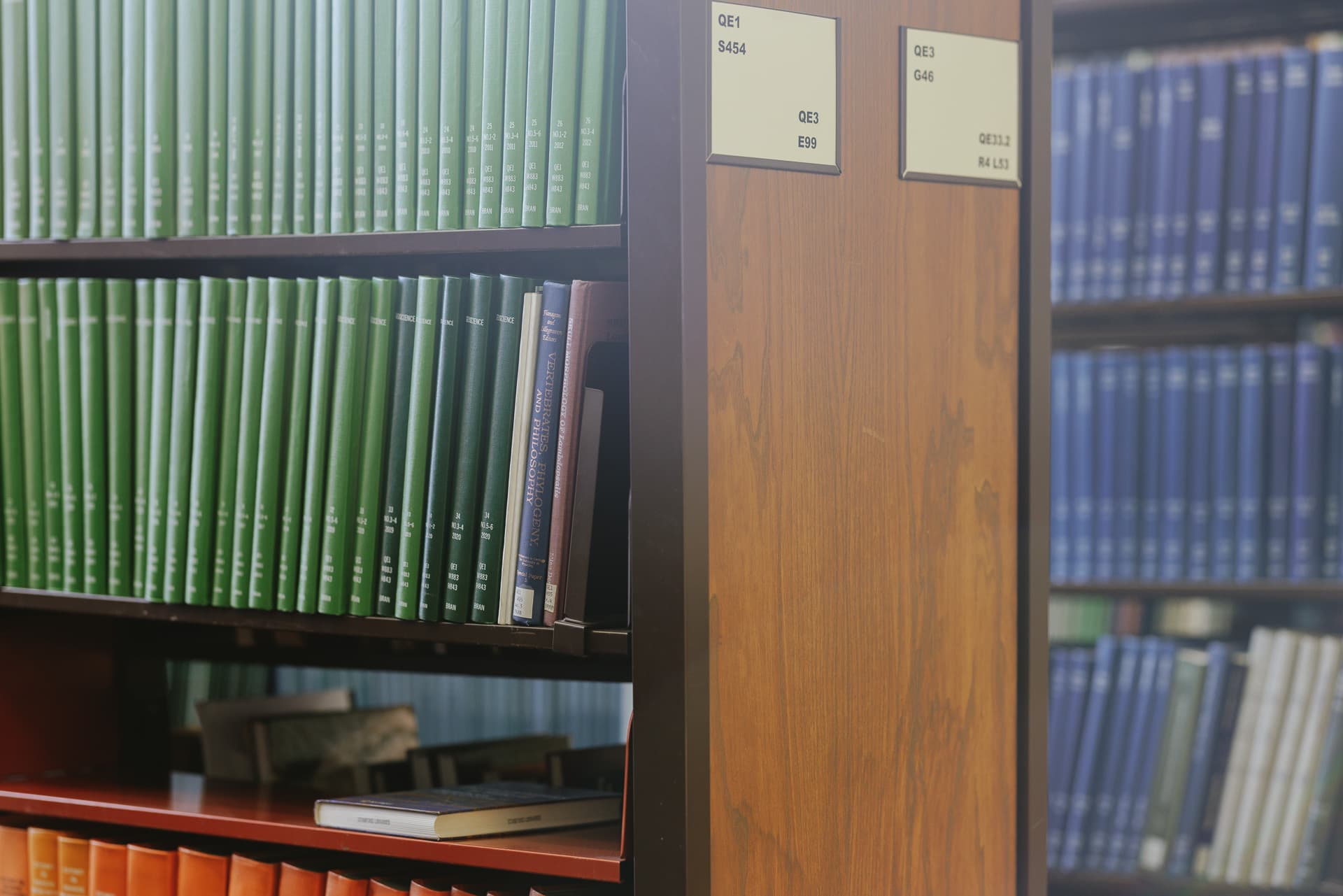 Books on shelves in the stacks